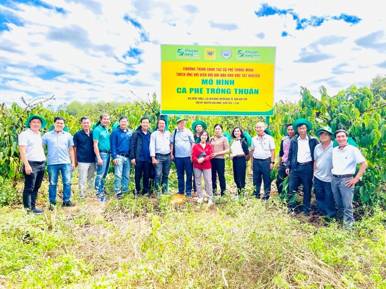 Canh tác cà phê thông minh: Định hướng phát triển bền vững trong bối cảnh biến đổi khí hậu- Ảnh 2.