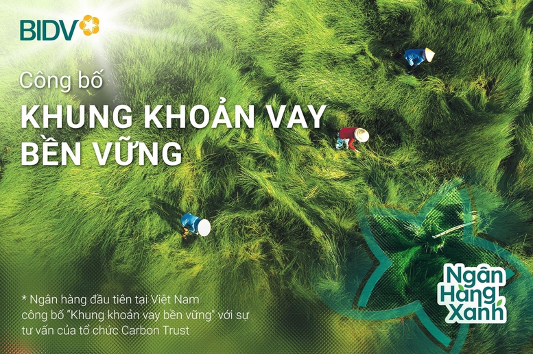 Chiến lược ESG: BIDV ghi dấu ấn tiên phong- Ảnh 2.
