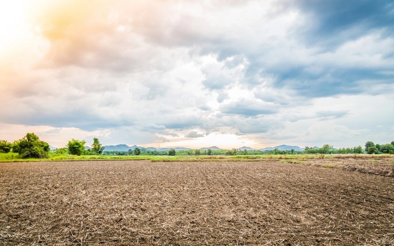 Đất nông nghiệp chưa có Giấy chứng nhận, bồi thường thế nào?