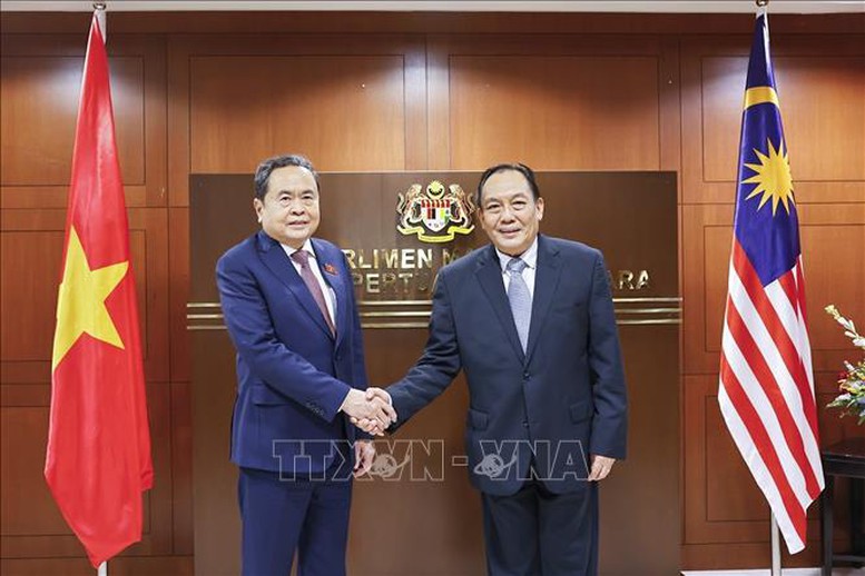 Chủ tịch Quốc hội Trần Thanh Mẫn hội đàm với Chủ tịch Thượng viện Malaysia- Ảnh 1.