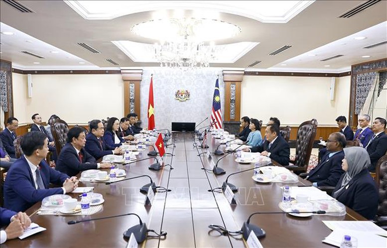 Chủ tịch Quốc hội Trần Thanh Mẫn hội đàm với Chủ tịch Thượng viện Malaysia- Ảnh 2.