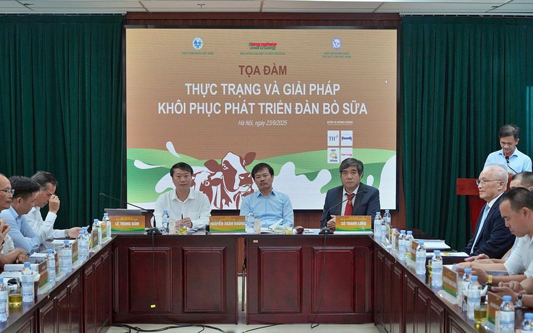 Ngành chăn nuôi bò sữa: Hướng tới chuỗi liên kết khép kín để hợp tác phát triển