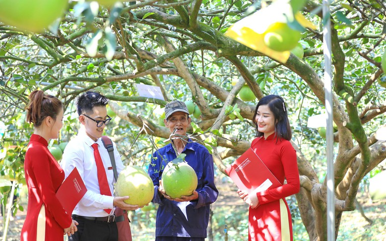 Agribank triển khai tín dụng xanh, góp phần thực hiện mục tiêu phát thải ròng bằng ‘0’