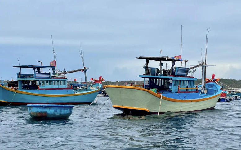 Quảng Ninh, Ninh Bình, Hà Tĩnh chủ động phương án ứng phó với bão số 9