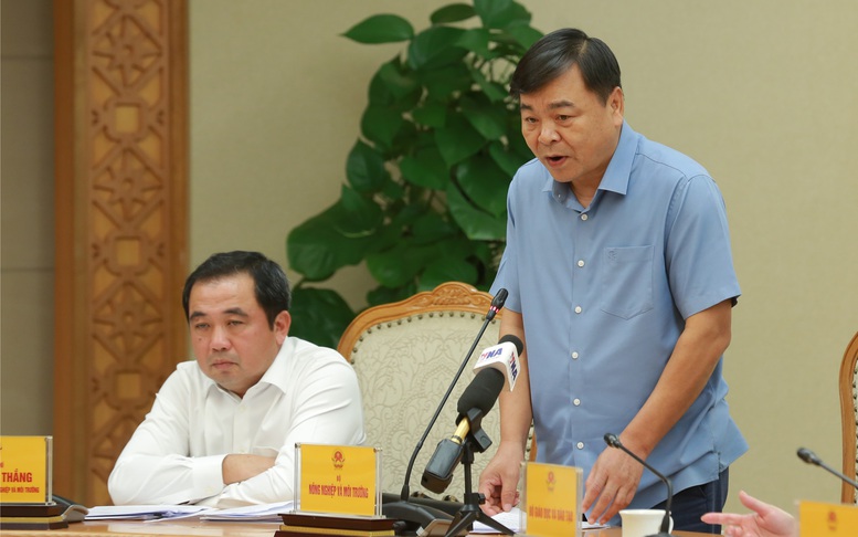 Triển khai nhanh chóng, quyết liệt phương án ứng phó siêu bão Ragasa (bão số 9)- Ảnh 3.