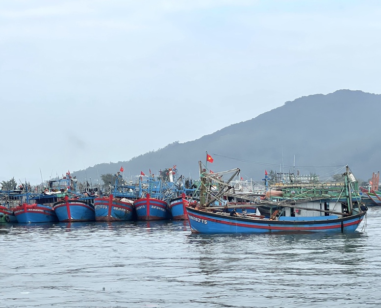 Miền Trung khẩn trương hướng dẫn tàu thuyền tránh trú, ứng phó siêu bão Ragasa- Ảnh 1.
