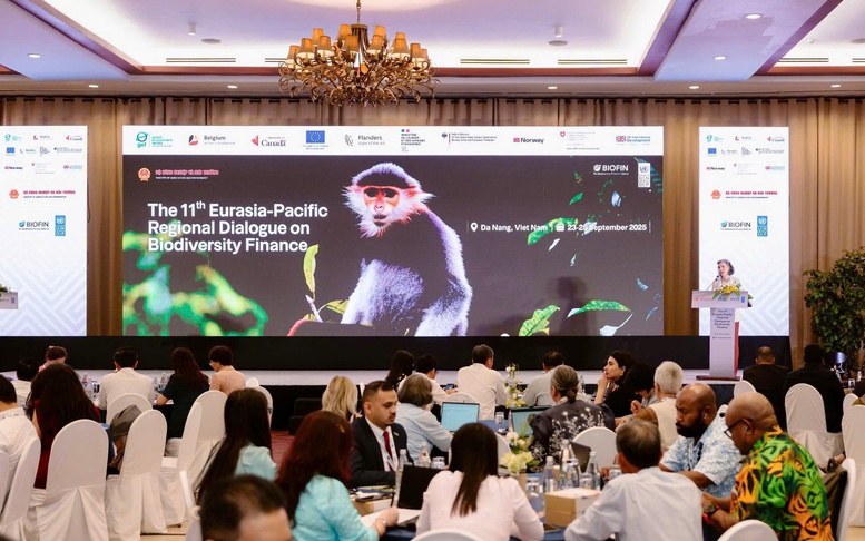 Thúc đẩy tài chính bền vững cho bảo tồn đa dạng sinh học
