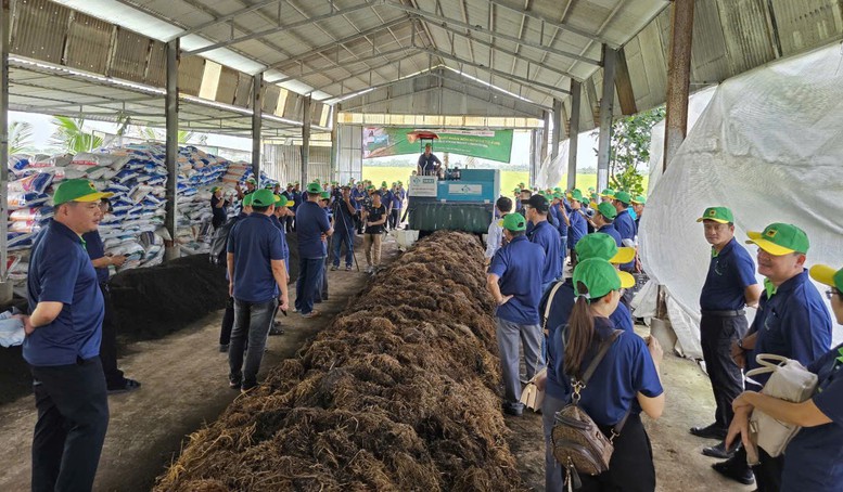 Thúc đẩy kinh tế tuần hoàn từ rơm rạ qua 'Ngày hội nông dân trồng nấm'- Ảnh 1.