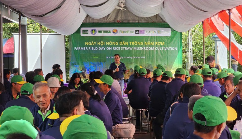 Thúc đẩy kinh tế tuần hoàn từ rơm rạ qua 'Ngày hội nông dân trồng nấm'- Ảnh 2.