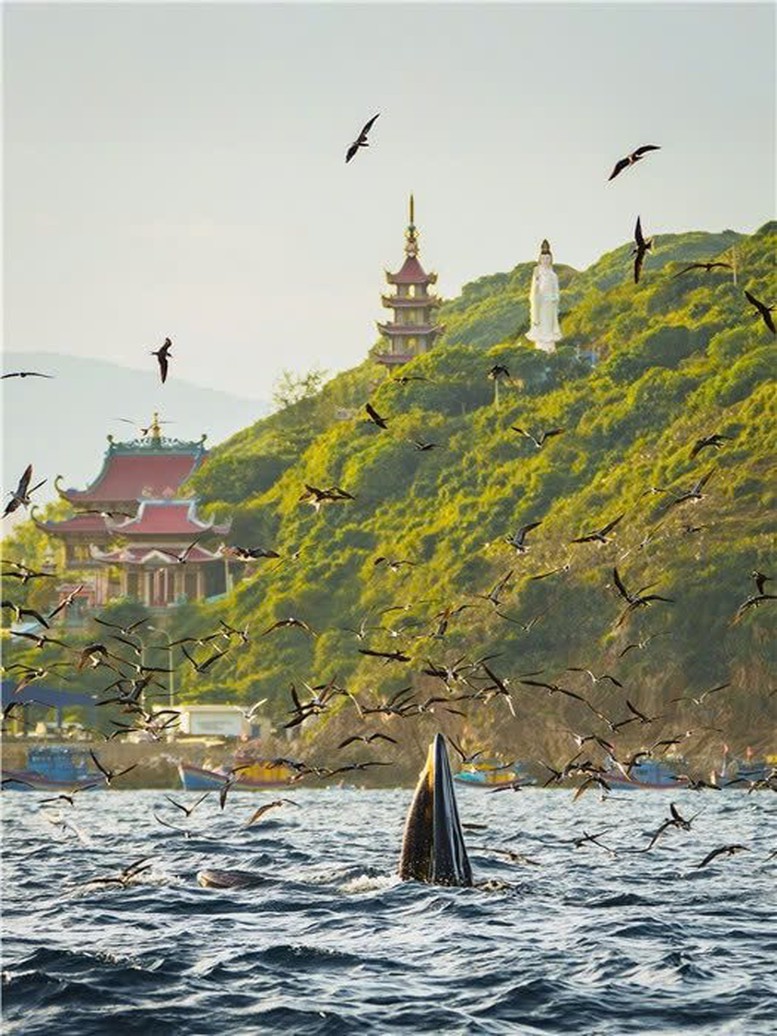 Giải thưởng Nhiếp ảnh Heritage: Tôn vinh giá trị di sản văn hóa Việt Nam- Ảnh 4.