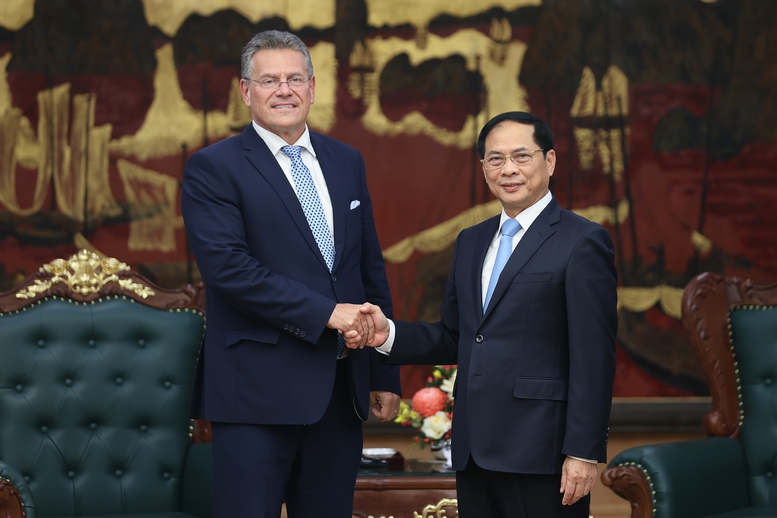 Phó Thủ tướng Bùi Thanh Sơn tiếp Cao uỷ Thương mại và An ninh kinh tế Liên minh châu Âu- Ảnh 1.