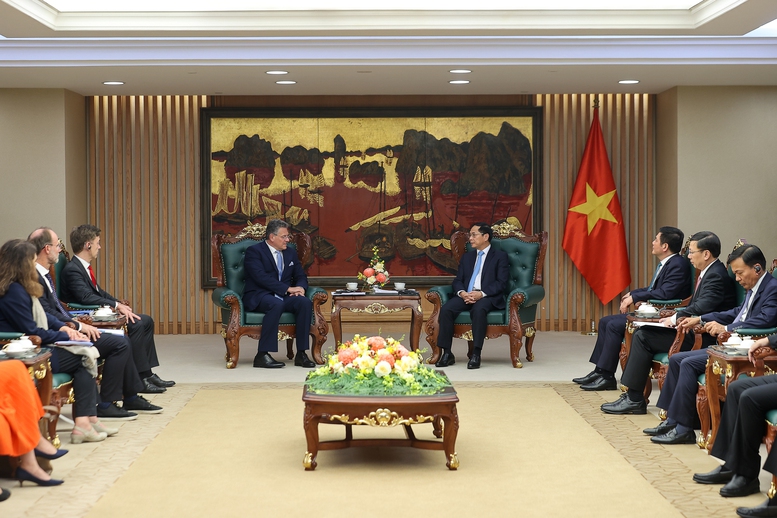 Phó Thủ tướng Bùi Thanh Sơn tiếp Cao uỷ Thương mại và An ninh kinh tế Liên minh châu Âu- Ảnh 3.