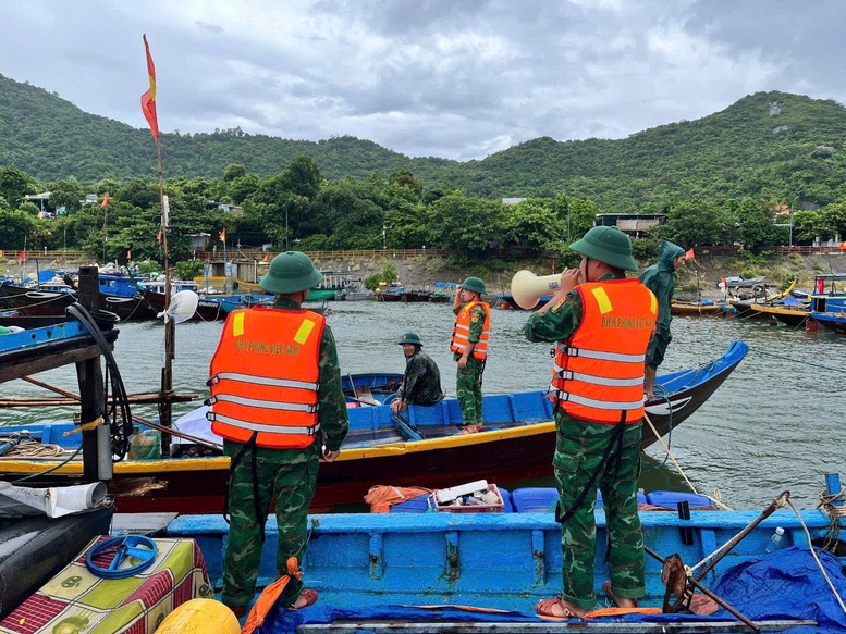 Đà Nẵng triển khai ứng phó bão Bualoi- Ảnh 2.