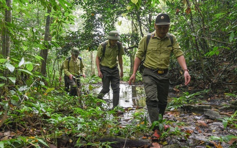 Chế độ trực, làm thêm giờ cho lực lượng Kiểm lâm