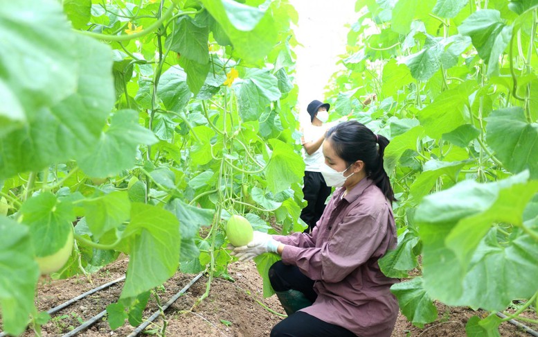 Khả thi mục tiêu 65 tỷ USD xuất khẩu nông, lâm, thủy sản