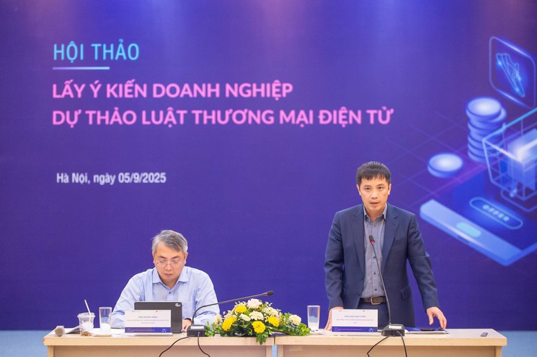 Luật Thương mại điện tử cần bảo vệ người tiêu dùng, thúc đẩy thị trường số bền vững- Ảnh 3.