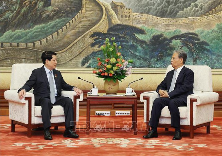 Chủ tịch nước Lương Cường hội kiến Ủy viên trưởng Nhân đại toàn quốc Trung Quốc Triệu Lạc Tế- Ảnh 1.
