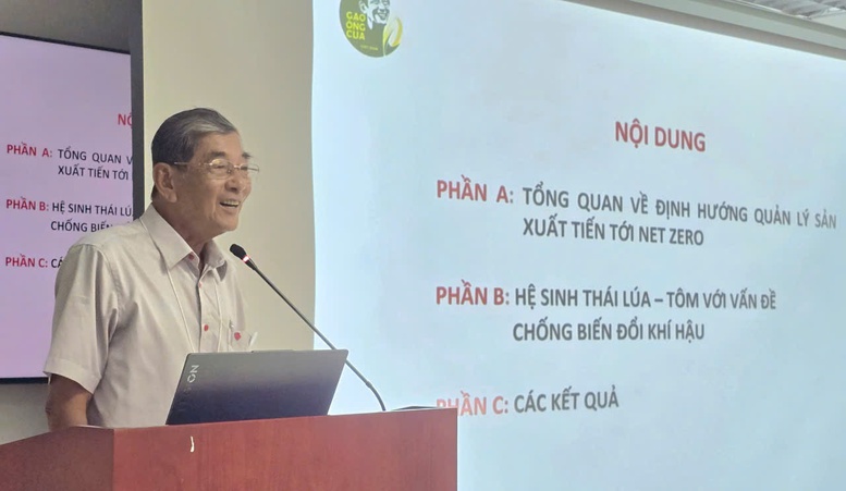 Đề án 1 triệu ha lúa: Lợi ích kép cho nông dân, môi trường và an ninh lương thực- Ảnh 2.