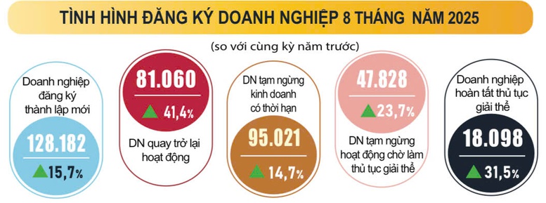 Số doanh nghiệp thành lập mới và quay lại thị trường tăng mạnh- Ảnh 1.
