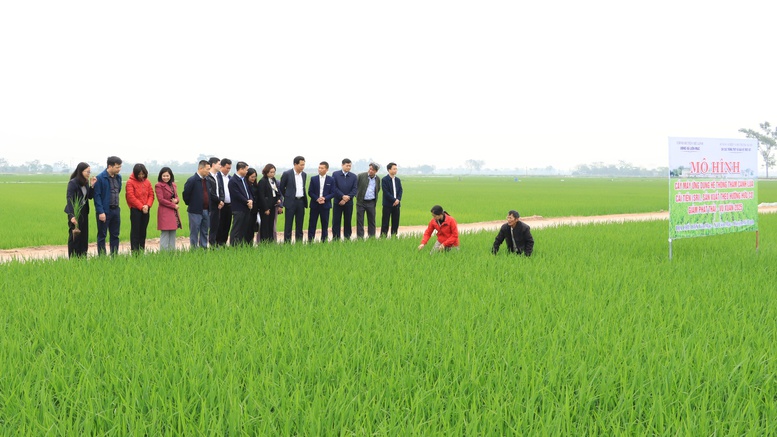 Hà Nội: 15 năm hành trình bứt phá xây dựng nông thôn mới- Ảnh 1.