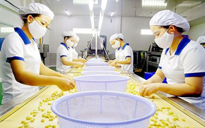 Chính sách thuế GTGT đối với sản phẩm sơ chế