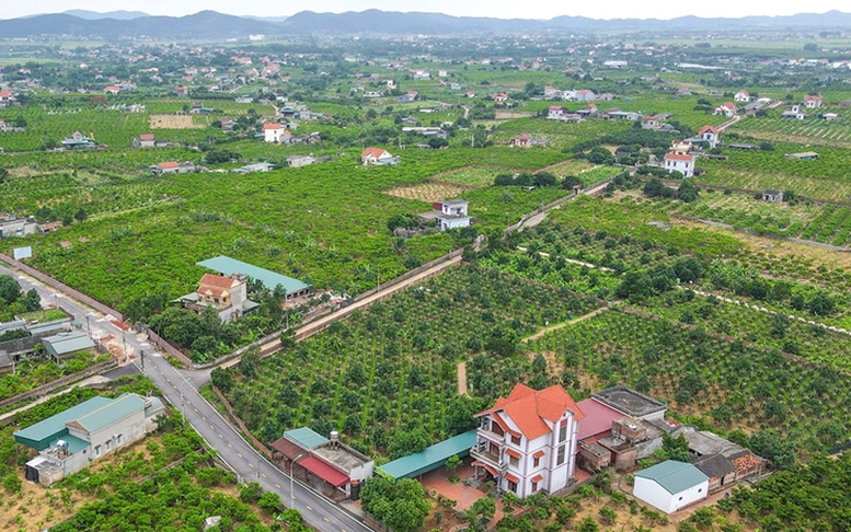 Tháo gỡ vướng mắc các dự án đất đai và triển khai Chương trình mục tiêu quốc gia