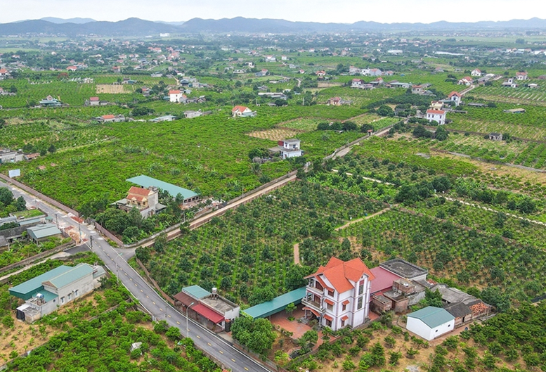 Tháo gỡ vướng mắc các dự án đất đai và triển khai Chương trình mục tiêu quốc gia- Ảnh 1.