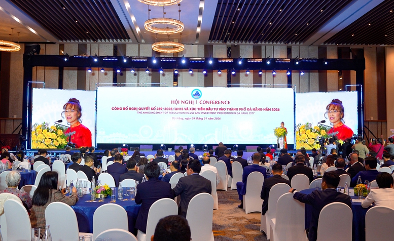 Tiến sĩ Nguyễn Thị Phương Thảo và hành trình 20 năm cùng Đà Nẵng- Ảnh 2. Tiến sĩ Nguyễn Thị Phương Thảo và hành trình 20 năm cùng Đà Nẵng- Ảnh 2.