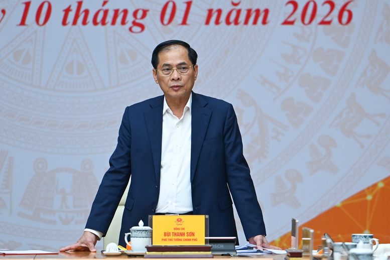 Thủ tướng: Sớm hoàn thiện chương trình hỗ trợ doanh nghiệp Việt Nam ra thế giới- Ảnh 3.