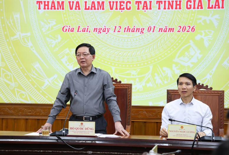 Hoàn thành dứt điểm xây dựng nhà ở cho người dân Gia Lai trước 15/1, không để ai thiếu chỗ ở- Ảnh 8.