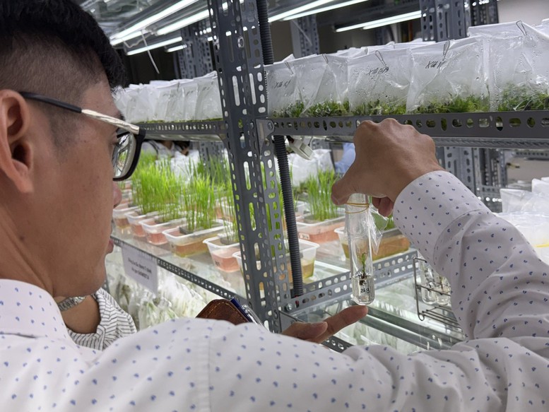 Khoa học công nghệ dẫn dắt nông nghiệp Việt Nam vượt “giới hạn” tăng trưởng truyền thống- Ảnh 1.