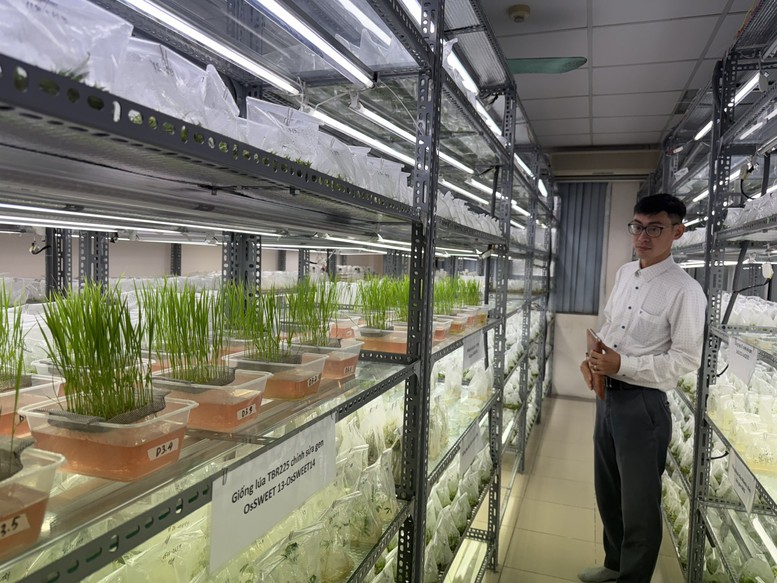 Khoa học công nghệ dẫn dắt nông nghiệp Việt Nam vượt “giới hạn” tăng trưởng truyền thống- Ảnh 2.