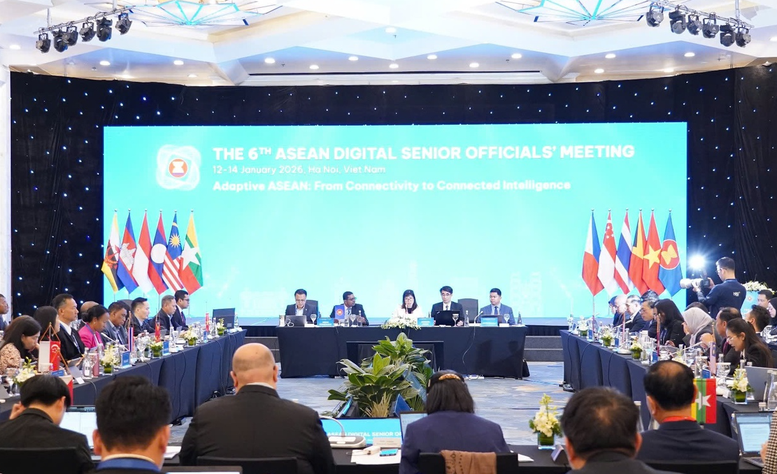 Hợp tác số hướng tới ASEAN kết nối và thông minh- Ảnh 1.