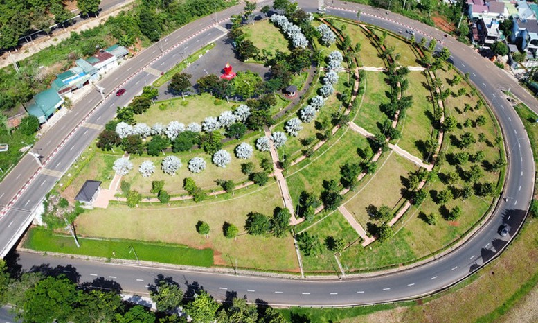 Đề nghị truy tố vắng mặt Chủ tịch HĐQT Công ty cây xanh Công Minh- Ảnh 1.