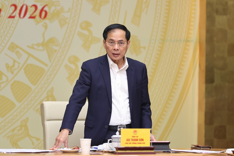 Thủ tướng: Xây dựng KPI để đánh giá tình hình ký kết, triển khai các cam kết quốc tế- Ảnh 3.