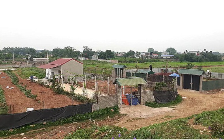 Xây nhà trên đất khai hoang có được xem xét cấp Giấy chứng nhận?