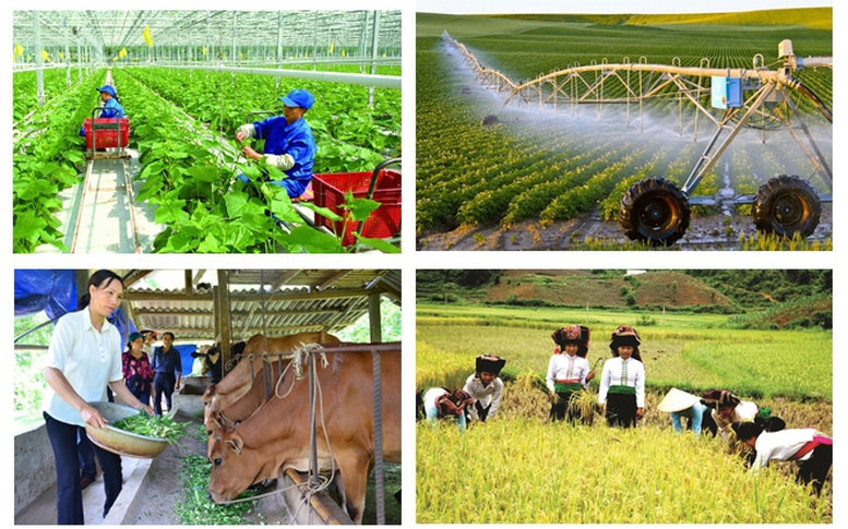 Từ 1/7: Tổng điều tra nông thôn, nông nghiệp năm 2025