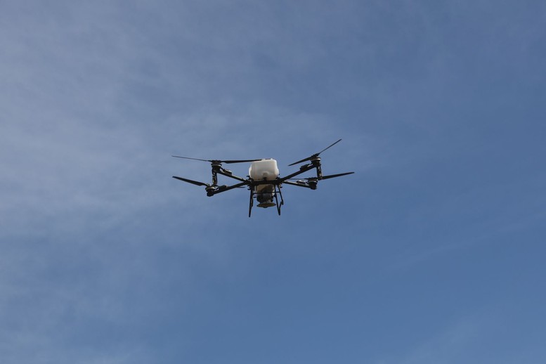 Tiếp nối hành trình Vì một Việt Nam xanh: OMO Trao tặng 20.000 banh hạt giống cho Vườn quốc gia Núi Chúa- Ảnh 3.