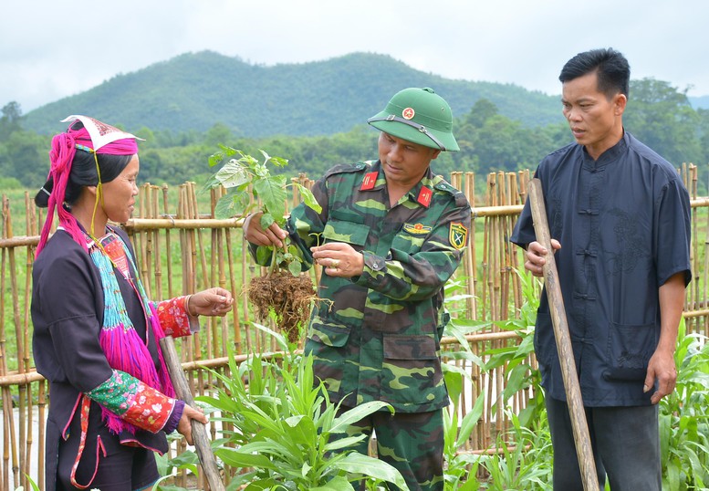 Triển khai Đề án giáo dục, tuyên truyền về Quân đội tham gia lao động sản xuất trên phạm vi cả nước- Ảnh 1.