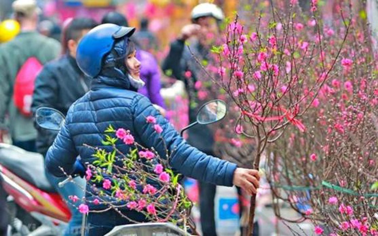 Tết Nguyên đán 2026 lạnh hơn, đề phòng mưa kèm rét đậm, rét hại