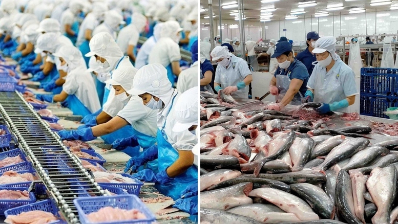 Danh mục động vật, sản phẩm động vật thủy sản thuộc diện phải kiểm dịch, miễn kiểm dịch- Ảnh 1.