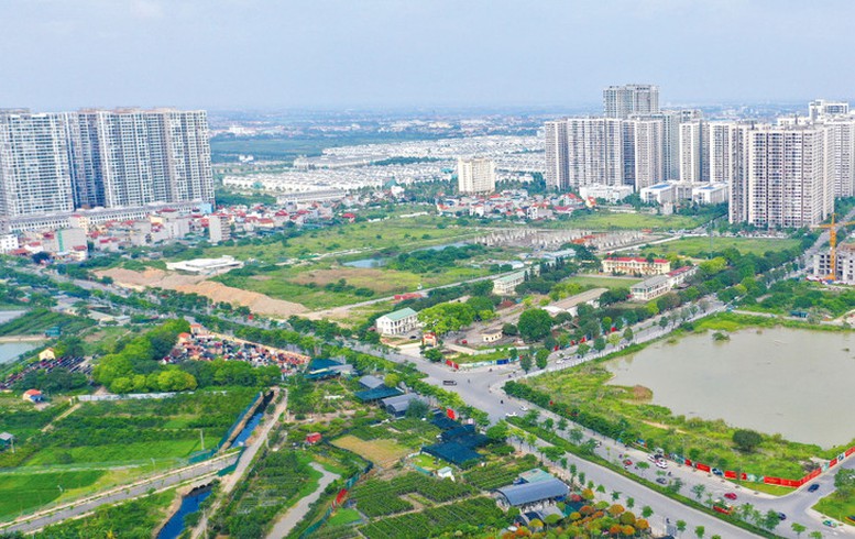 Dự án đầu tư kinh doanh nào phải tổ chức đấu thầu lựa chọn nhà đầu tư?- Ảnh 1.