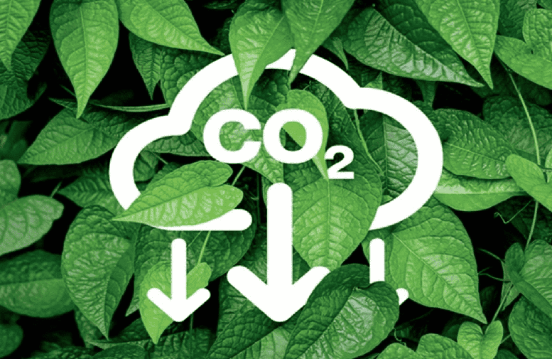 Quy định về sàn giao dịch các-bon trong nước- Ảnh 1.