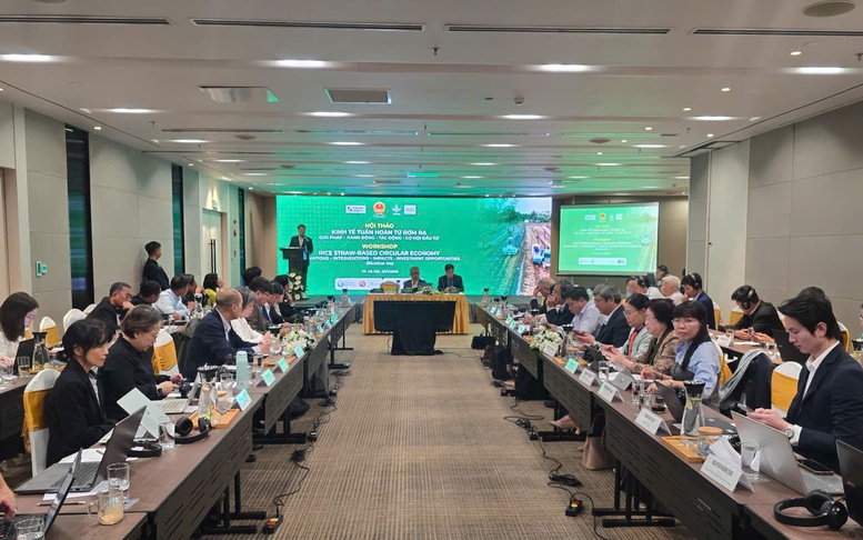 Kinh tế tuần hoàn từ rơm rạ mở lối cho nông nghiệp phát thải thấp