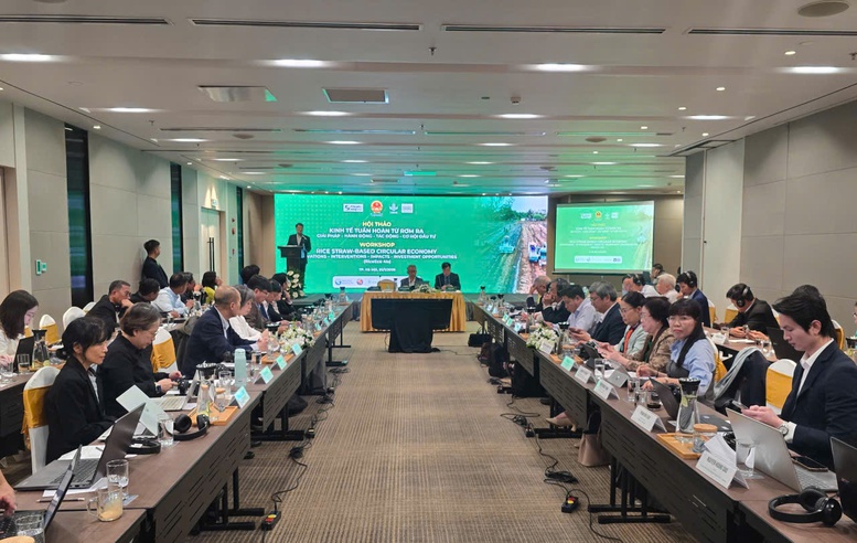 Kinh tế tuần hoàn từ rơm rạ mở lối cho nông nghiệp phát thải thấp- Ảnh 1.