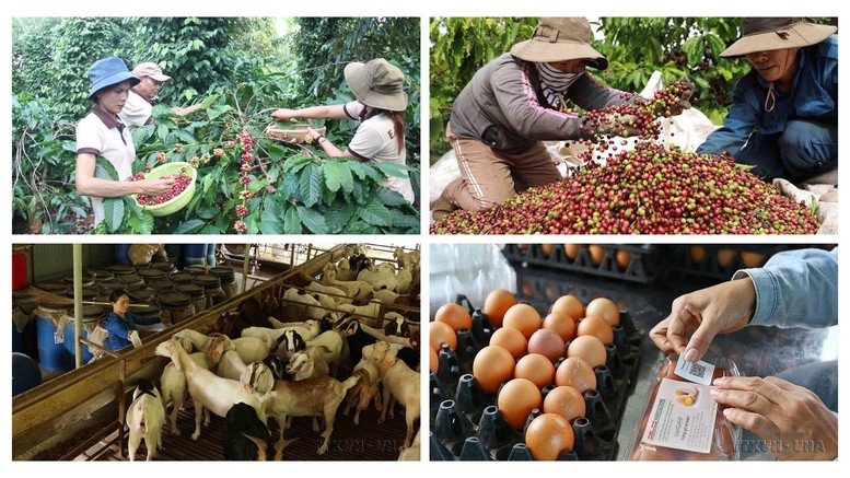 Phát huy vai trò, khơi dậy sức sáng tạo của giai cấp nông dân để xây dựng, phát triển đất nước trong kỷ nguyên mới- Ảnh 5. Phát huy vai trò, khơi dậy sức sáng tạo của giai cấp nông dân để xây dựng, phát triển đất nước trong kỷ nguyên mới- Ảnh 5.