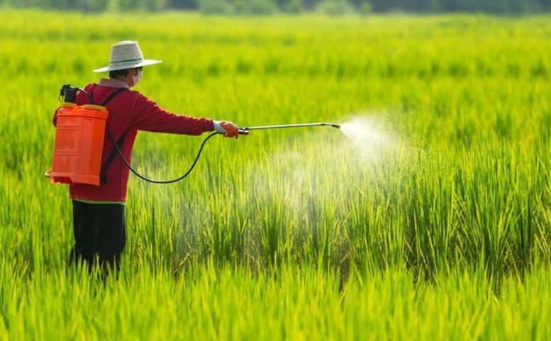 Quy định mới về điều kiện sản xuất, buôn bán thuốc bảo vệ thực vật - Ảnh 1.