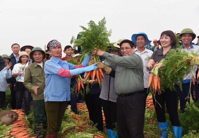 Phát huy vai trò, khơi dậy sức sáng tạo của giai cấp nông dân để xây dựng, phát triển đất nước trong kỷ nguyên mới- Ảnh 6. Phát huy vai trò, khơi dậy sức sáng tạo của giai cấp nông dân để xây dựng, phát triển đất nước trong kỷ nguyên mới- Ảnh 6.
