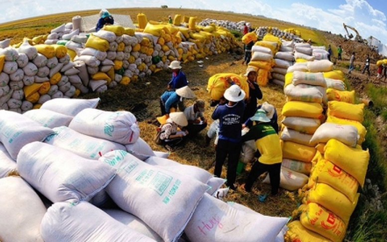 Việt Nam đạt kỷ lục dự trữ nhà nước 500.000 tấn lương thực