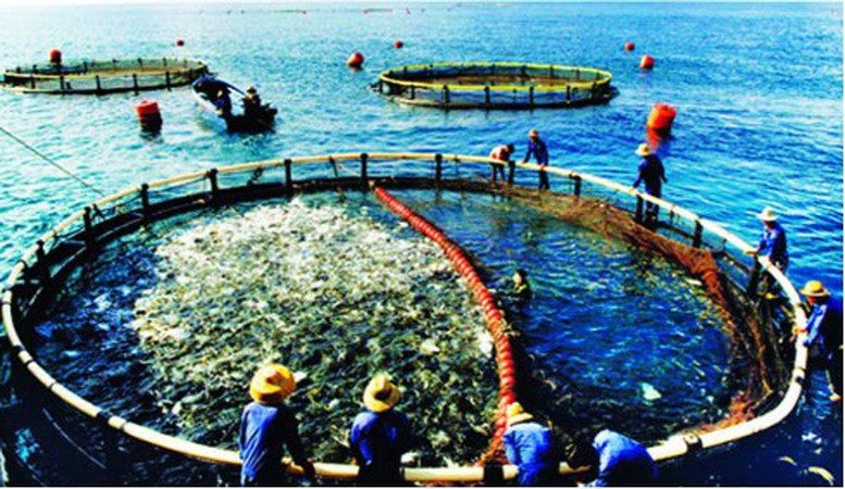 Chỉ đạo, điều hành của Chính phủ, Thủ tướng Chính phủ ngày 26/1/2026 (2)- Ảnh 1.